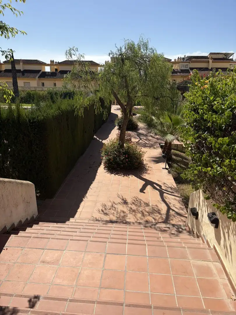 Terrace of Detached homes for sale in Milla de Oro