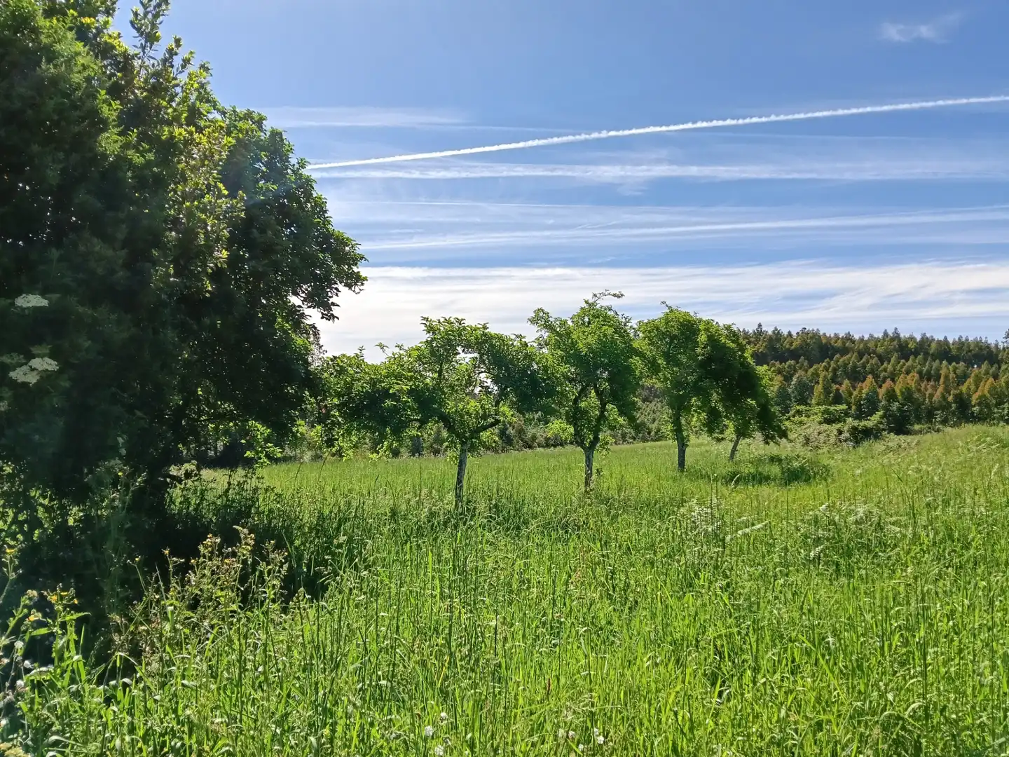 Haus oder Chalet zum Verkauf in Curtis mit Privatgarten