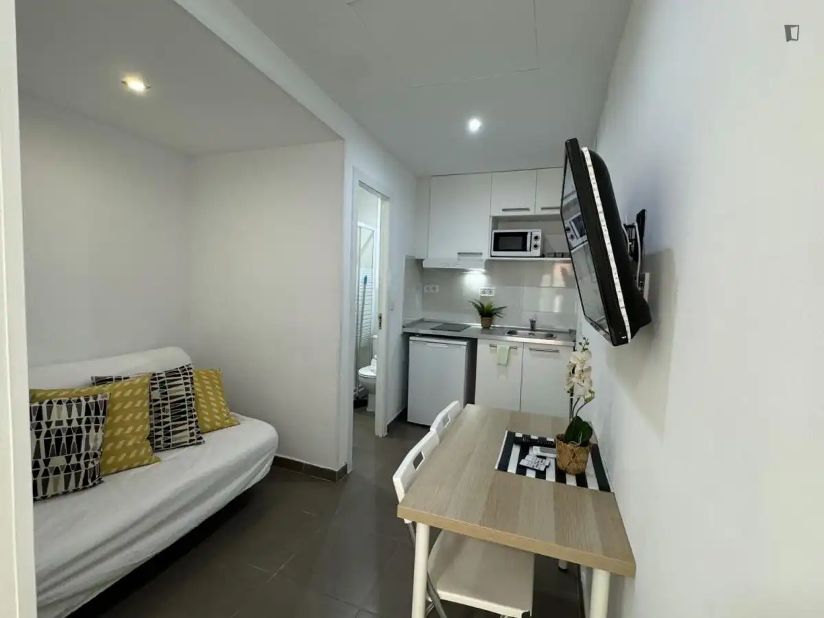 Studio zur Miete in Centro, imagen 3