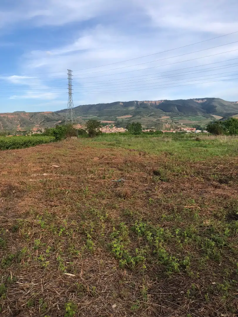 Terreni e lotti in vendita a Albelda de Iregua, imagen 2