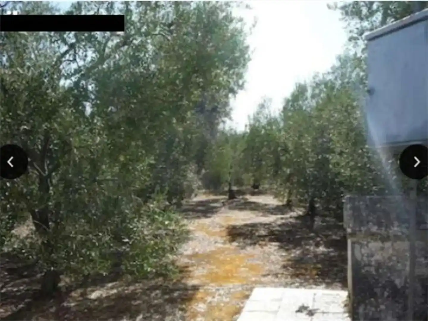 Finca rústica en venta en Benacazón