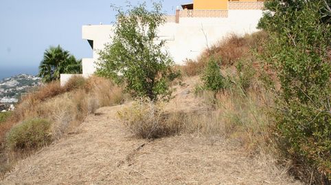 Finca rústica con agua y vistas al mar 4.170 m2, immagine 2