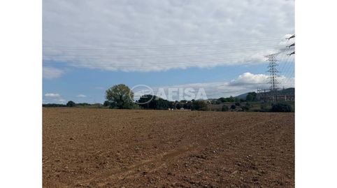Terreno rústico en venta en Cardedeu, immagine 4