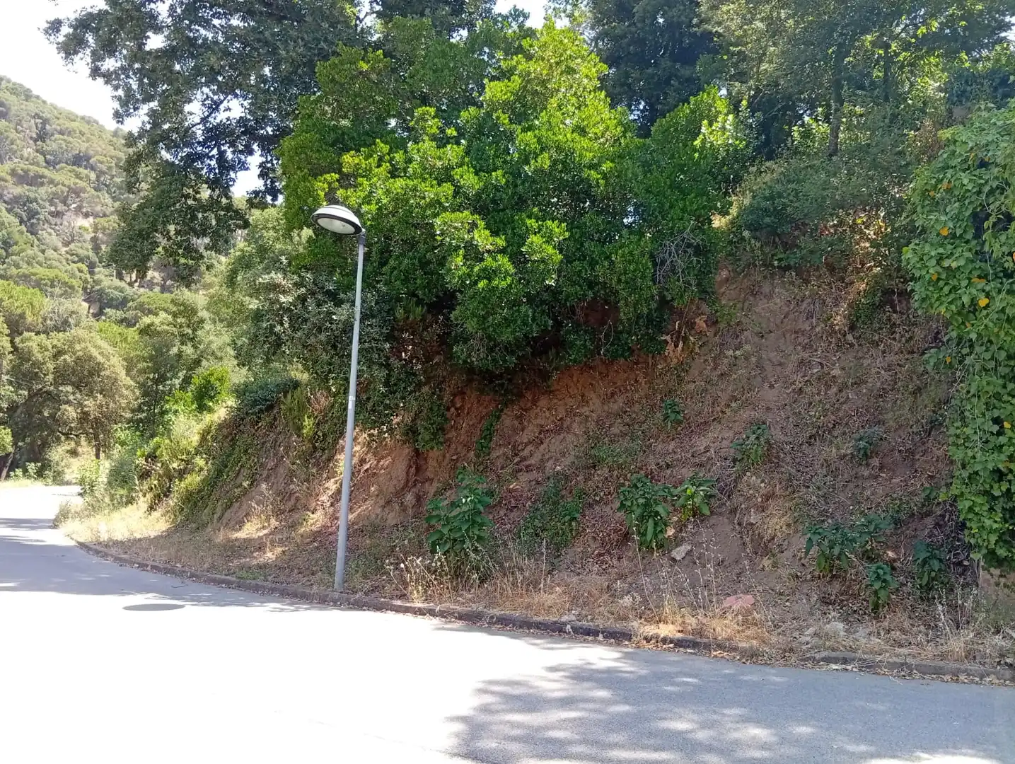Exterior view of Residential for sale in Vallgorguina