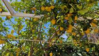 Jardí de Casa o xalet en venda en Finestrat amb Aire condicionat i Terrassa