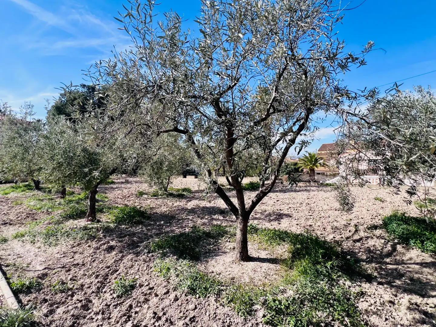 Casa o xalet en venda en Petrer amb Aire condicionat, Jardí privat i Terrassa