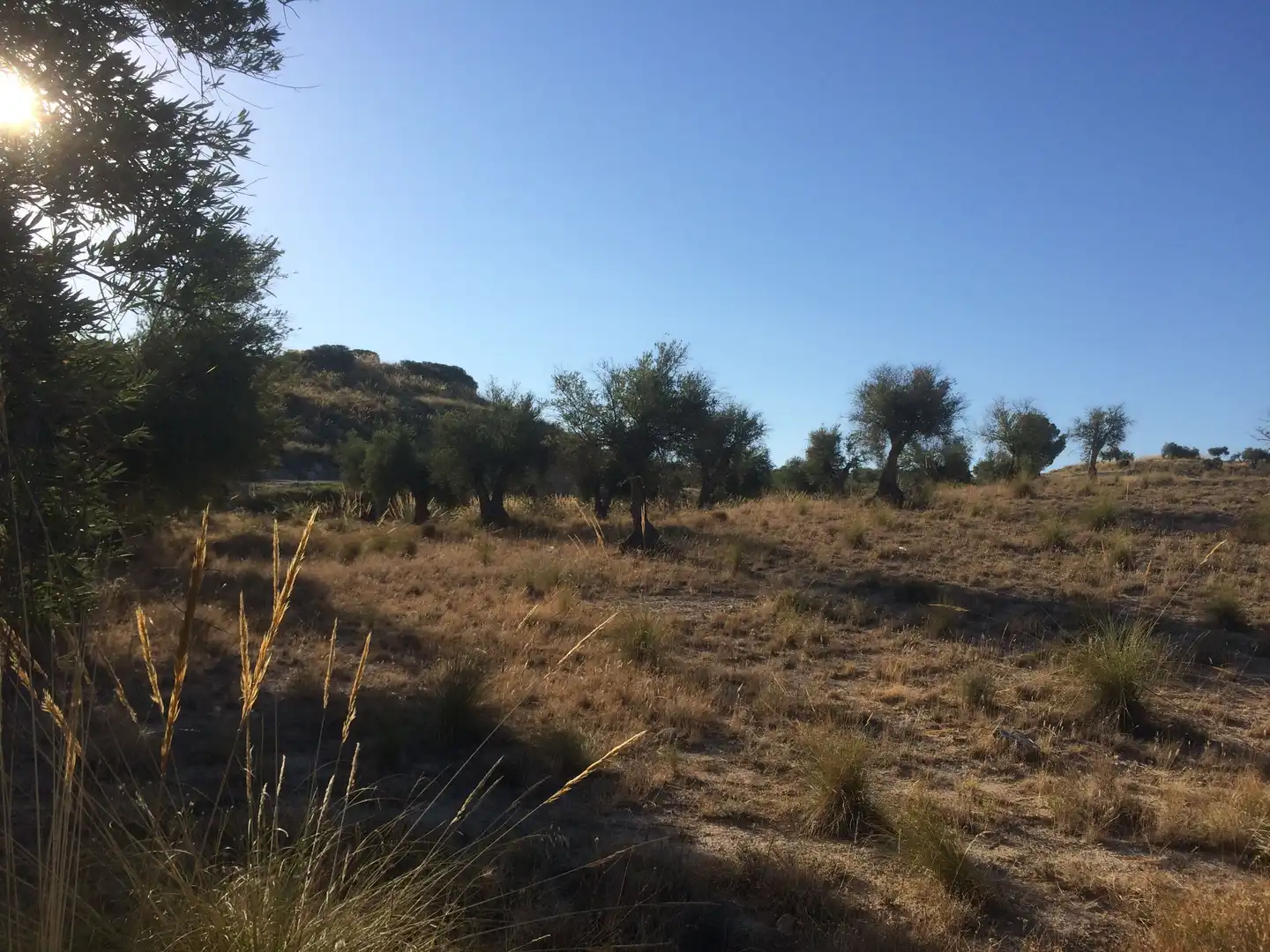 Rural land for sale in M-315 4b, imagen 2