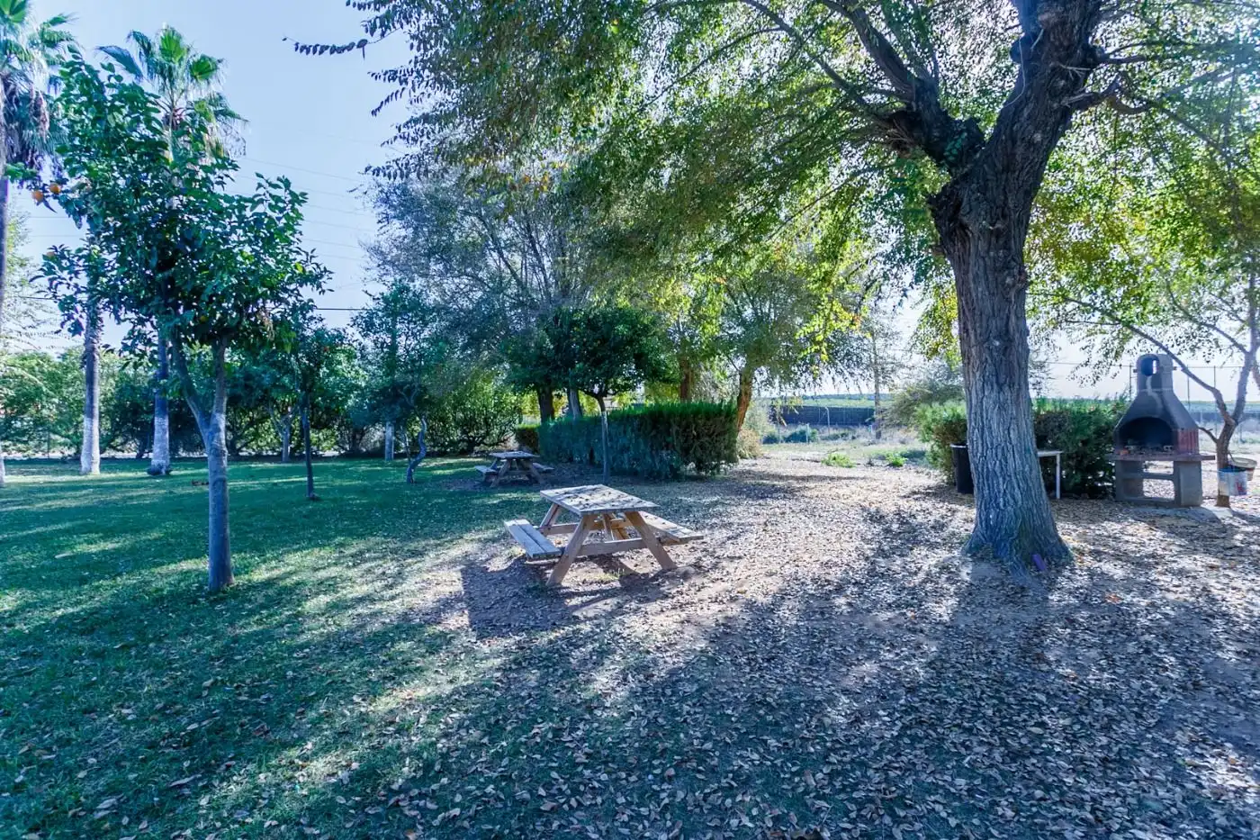 Jardín de Casa o chalet en venta en Carmona con Aire acondicionado, Jardín privado y Trastero