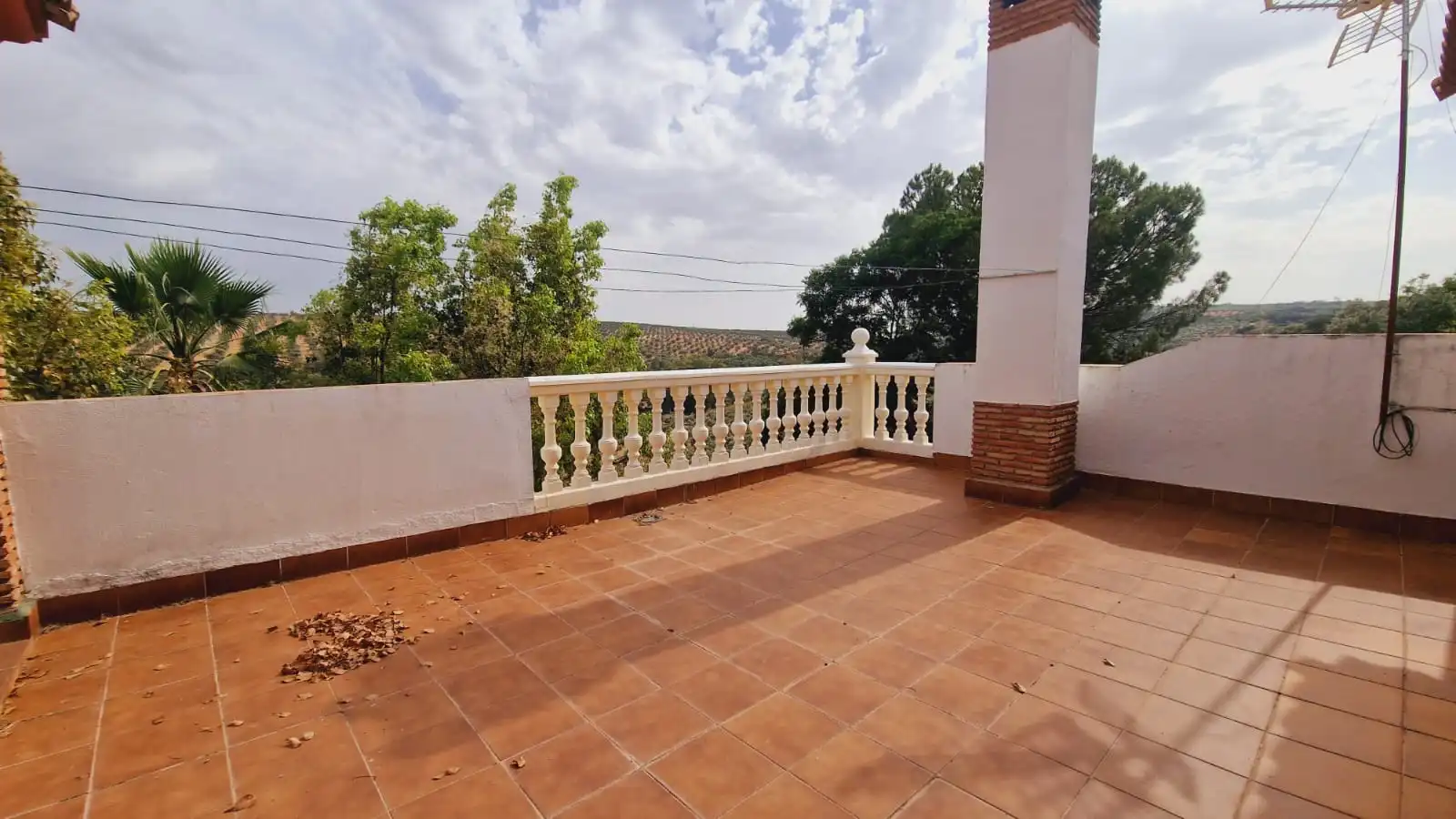 Terrace of Land for sale in Montoro