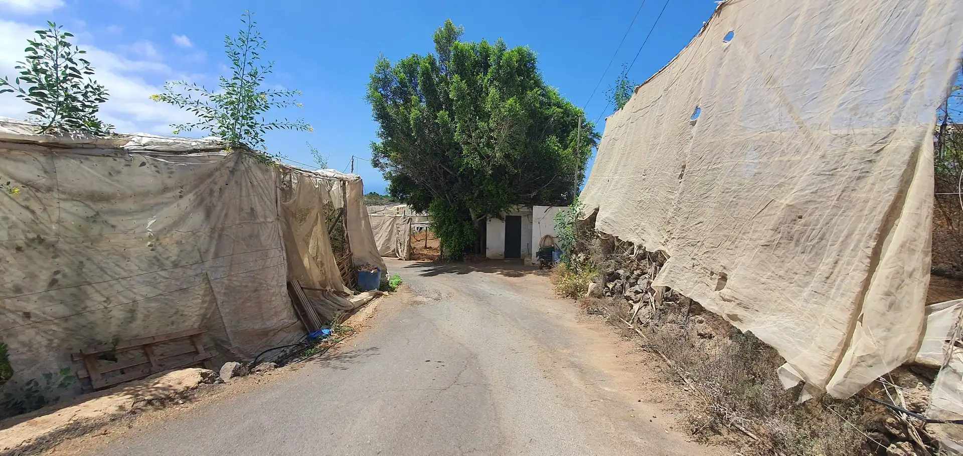 Terreny rústic en venda a Playa de San Juan, imagen 3