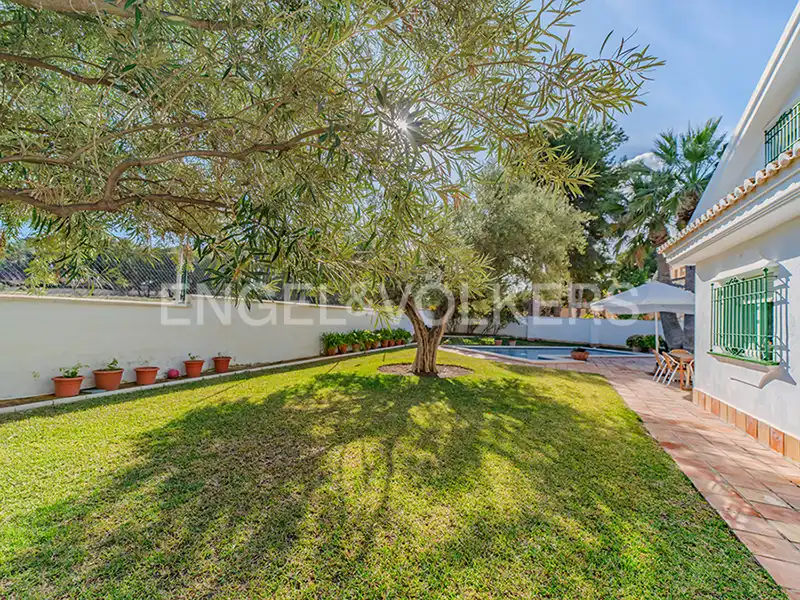 Vista exterior de Casa o xalet en venda en Alicante / Alacant amb Aire condicionat, Calefacció i Jardí privat