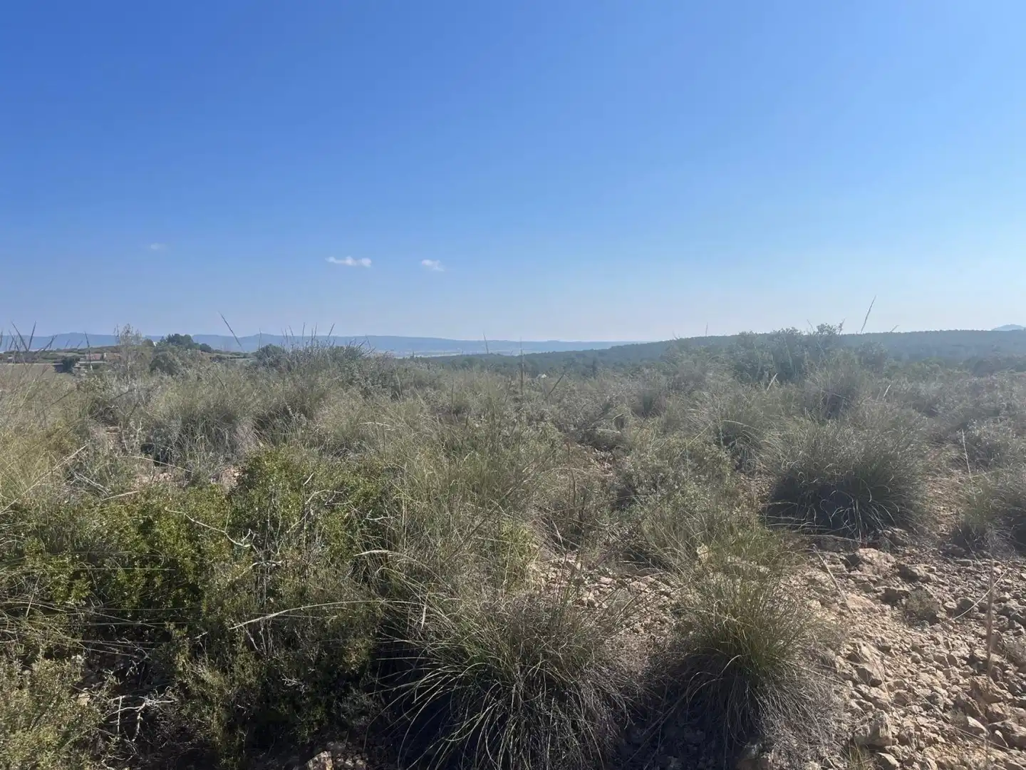 Terreni e lotti in vendita a Almansa, imagen 16