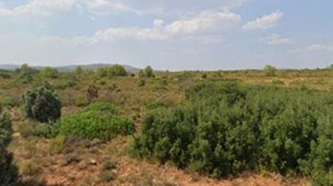 Venta de Parcela Rústica para uso agrario, immagine 4