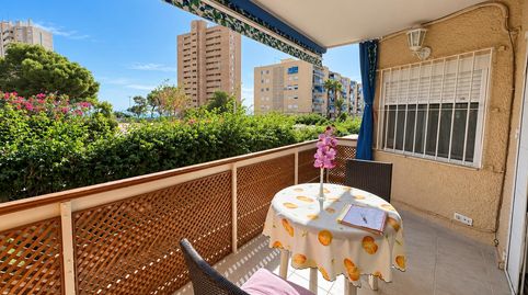 Apartamento en El Campello playa Muchavista, Las lanzas