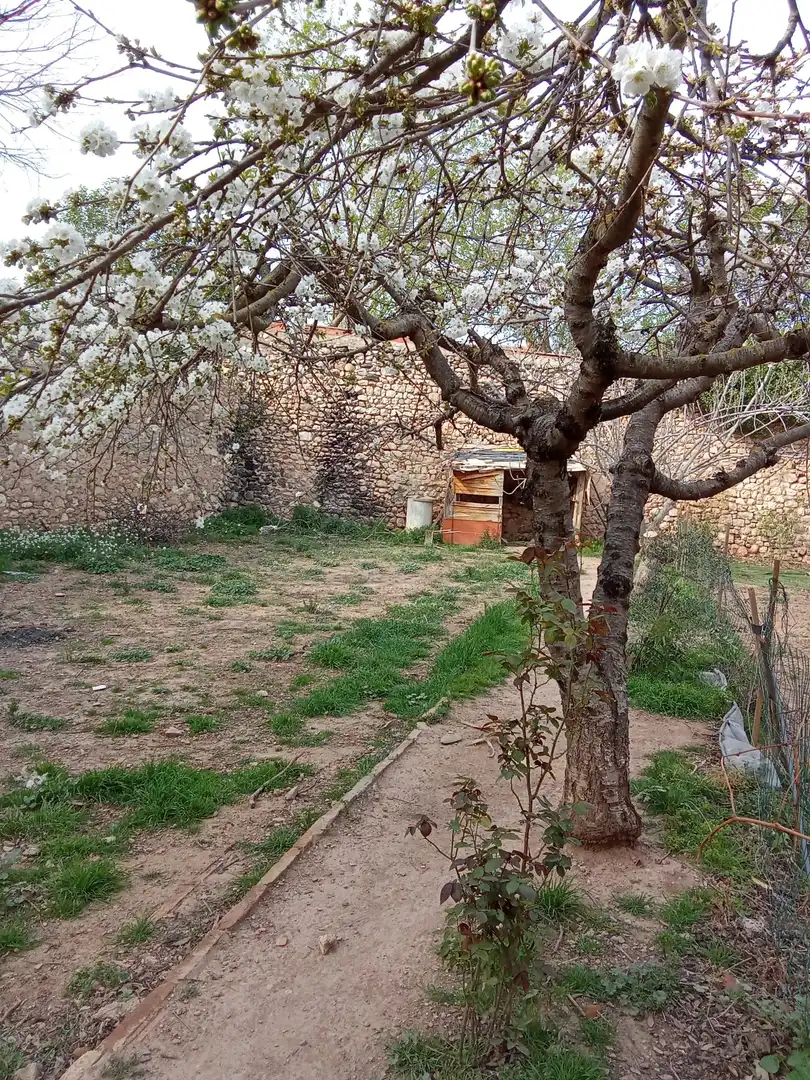 Terreny rústic en venda a Vilaverd, imagen 2