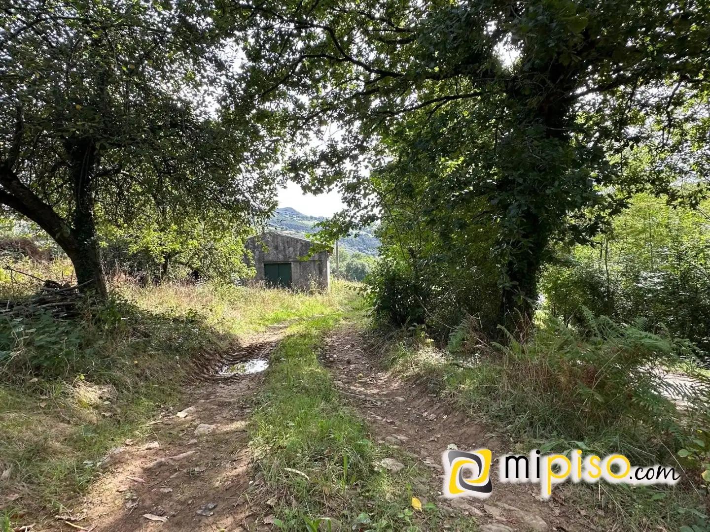 Casa o chalet en venta en Rasines