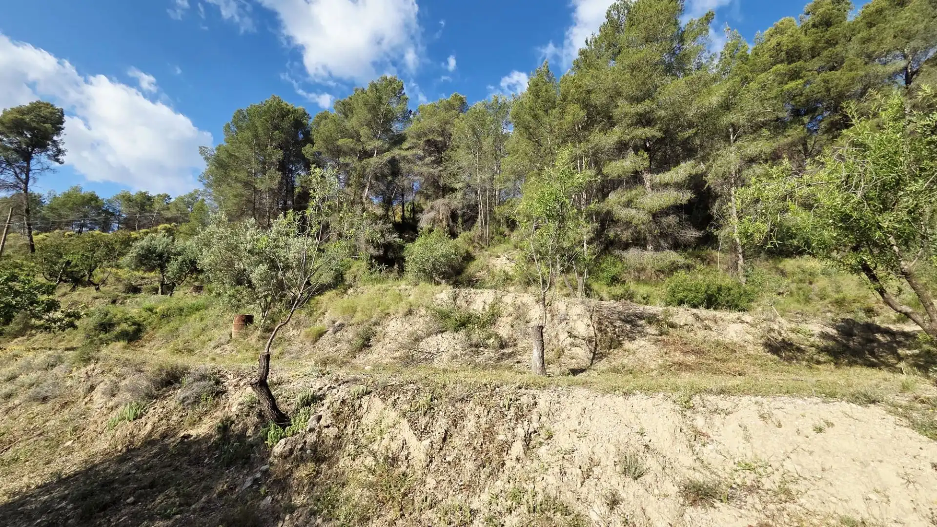 Grundstücke und Bauplätze zum Verkauf in El Castell de Guadalest, imagen 24