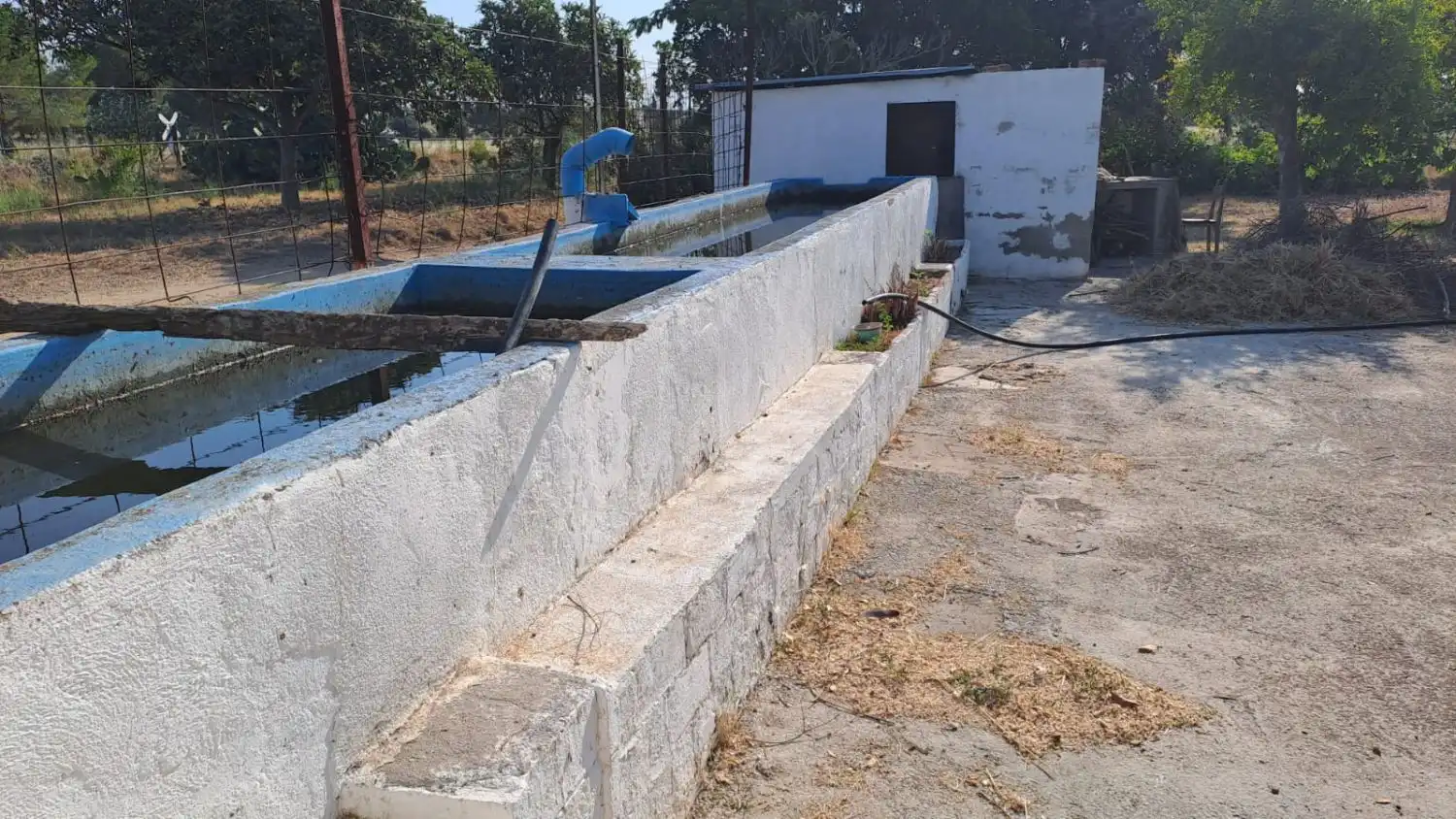 Piscina de Finca rústica en venta en Constantí