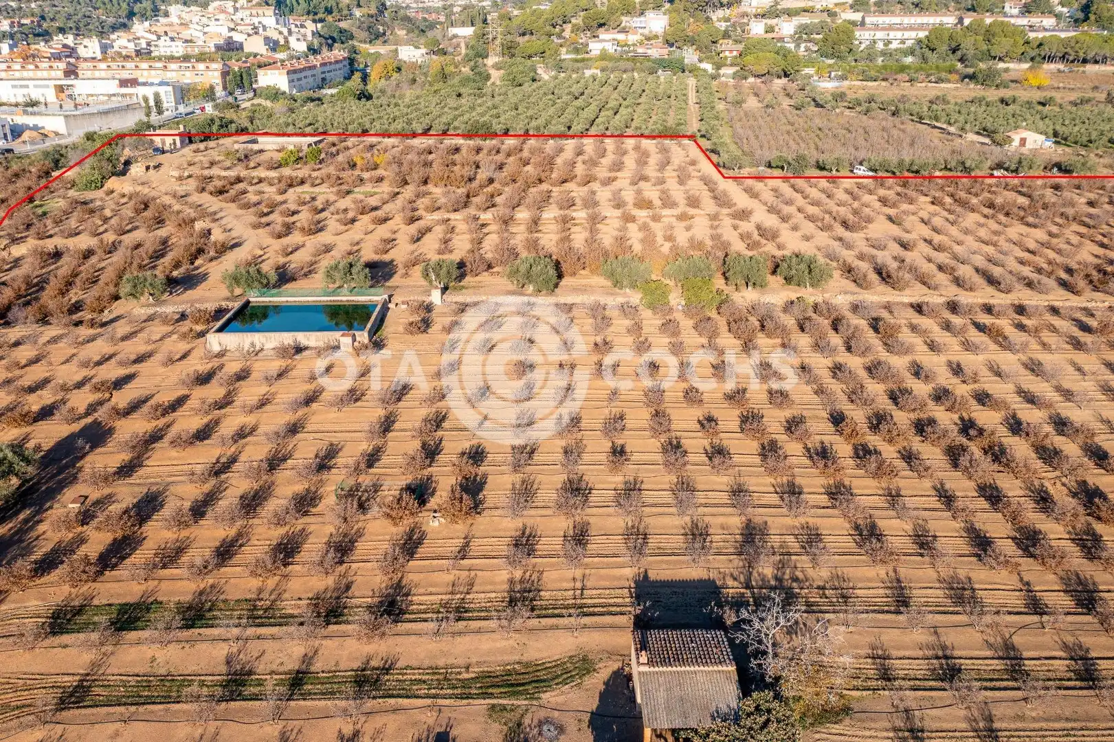 Finca rústica en venta en Castellvell del Camp