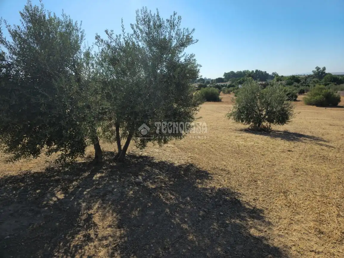 Rural land for sale in Arahal, imagen 7
