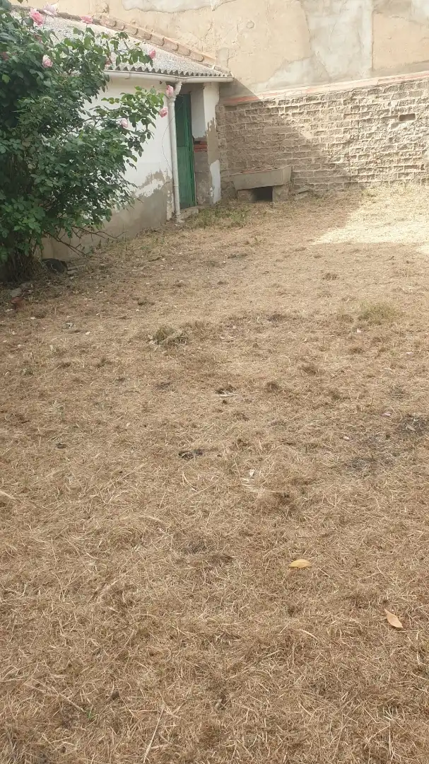 Casa en venda a Parque de la Constitución 5A, imagen 6