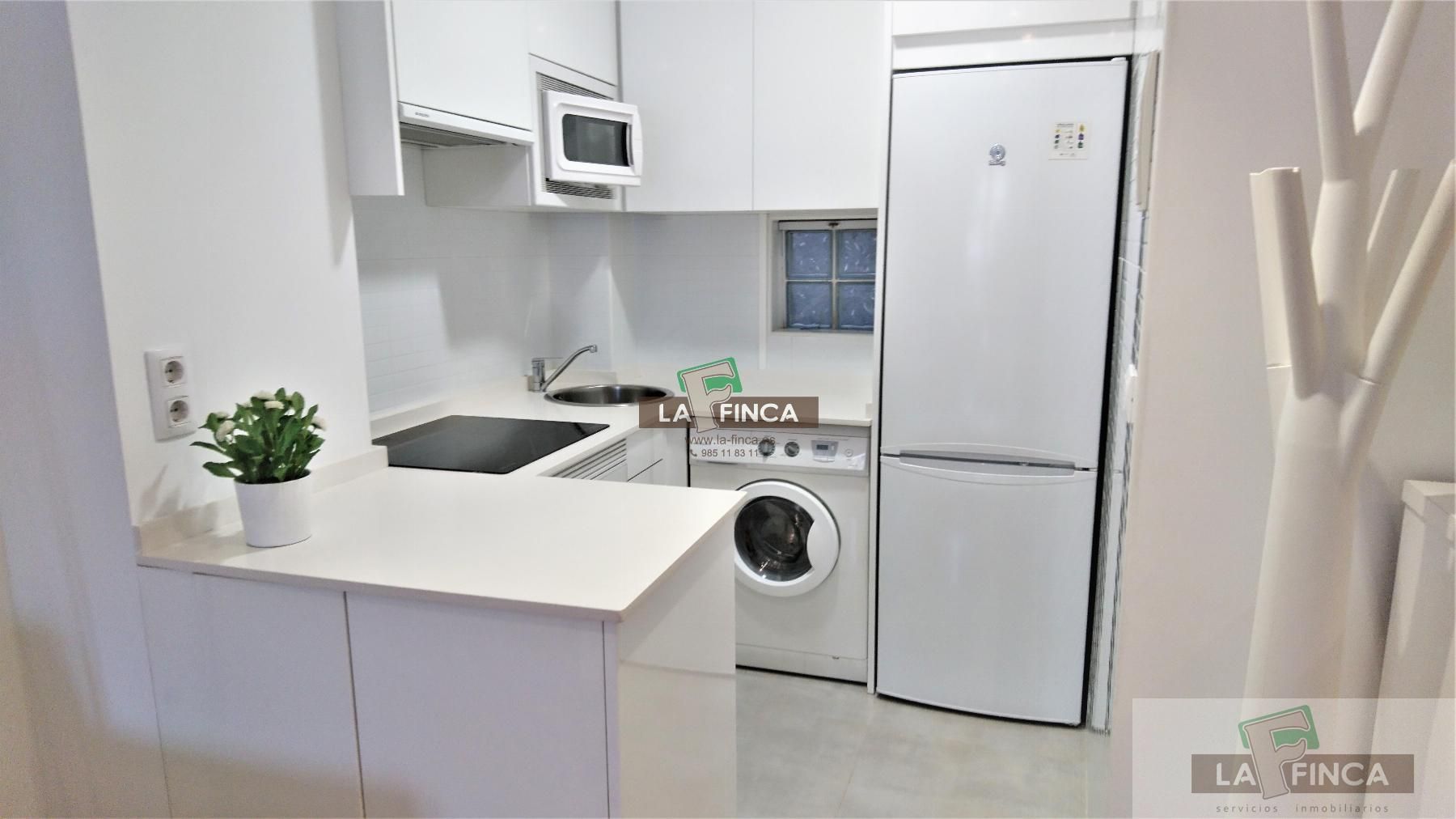 Cocina de Apartamento de alquiler en Oviedo  con Trastero y Amueblado
