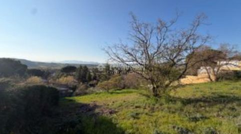 Terrenos en venta en Uceda