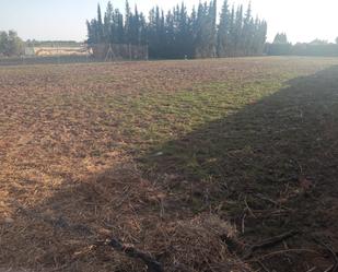 Land for sale in Utrera