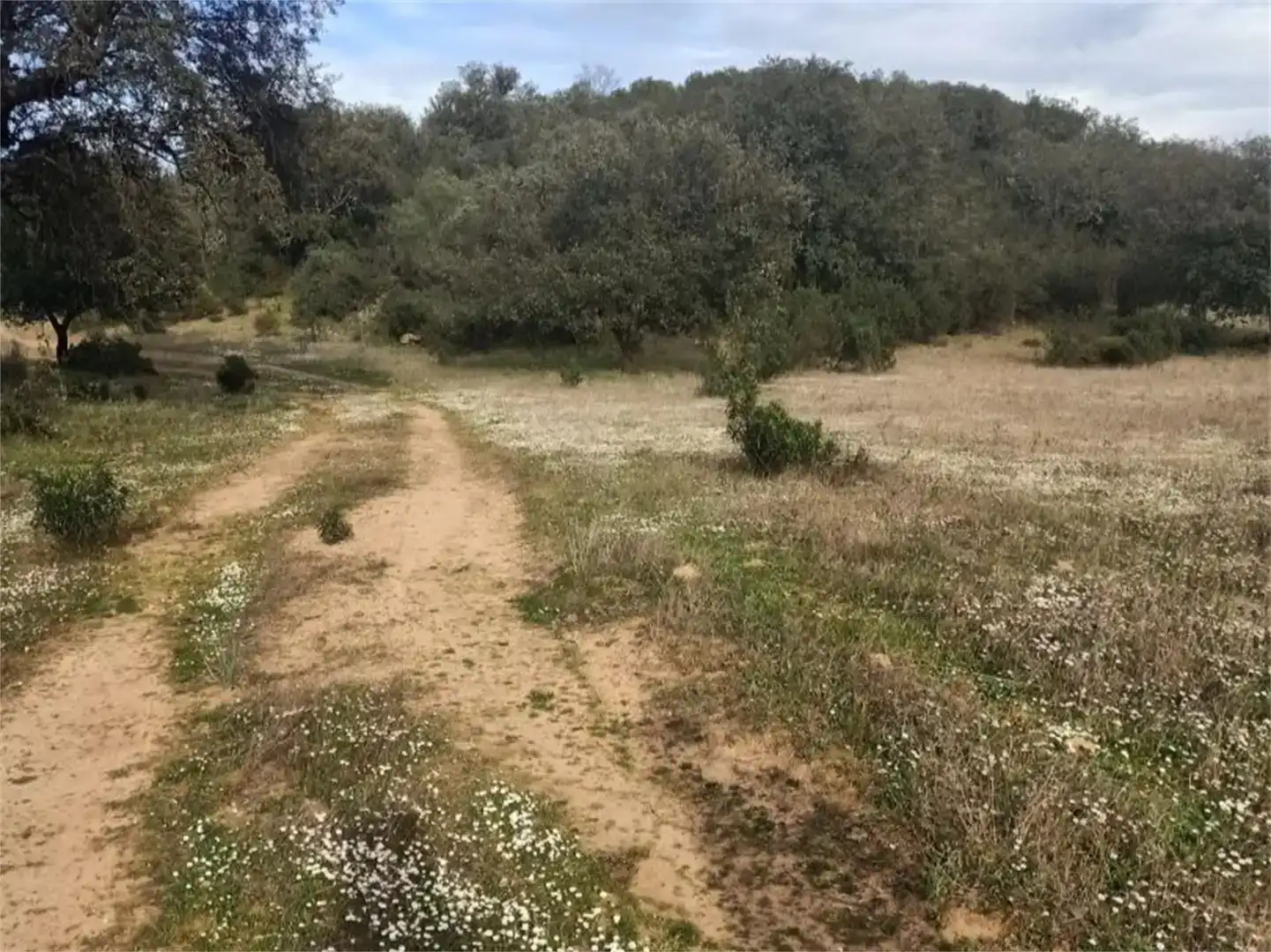 Terreno en venta en Fuenlabrada de los Montes, Badajoz
