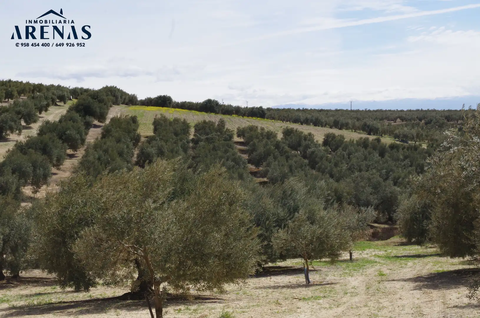 Residential land for sale in Íllora, imagen 5