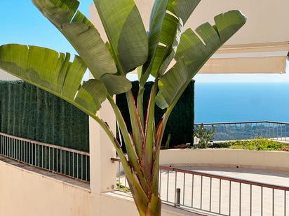 Exterior view of Flat for sale in Marbella  with Community pool