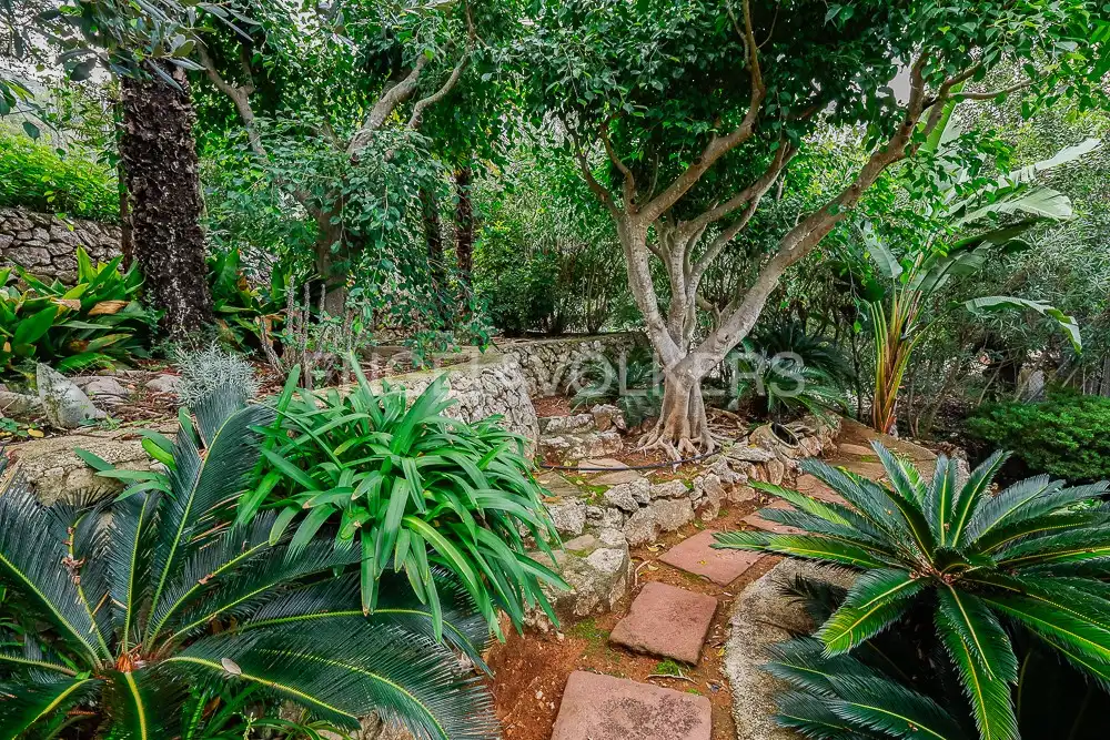 Jardí de Casa o xalet en venda en Pedreguer amb Aire condicionat, Calefacció i Jardí privat