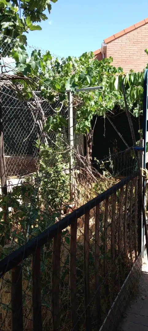 Habitatge amb jardí en venda a Pioz, imagen 14