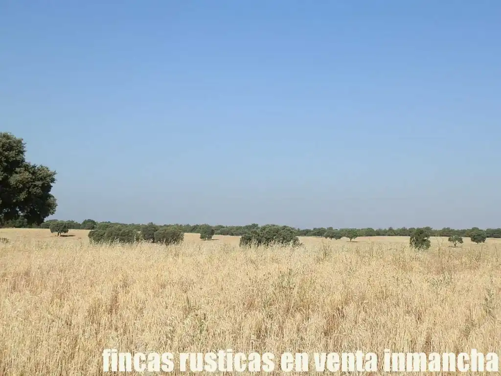 Terreno en venta en Alcaraz