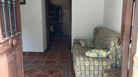 Foto 3 de Finca rústica de alquiler en N/a, -1, Comares, Málaga