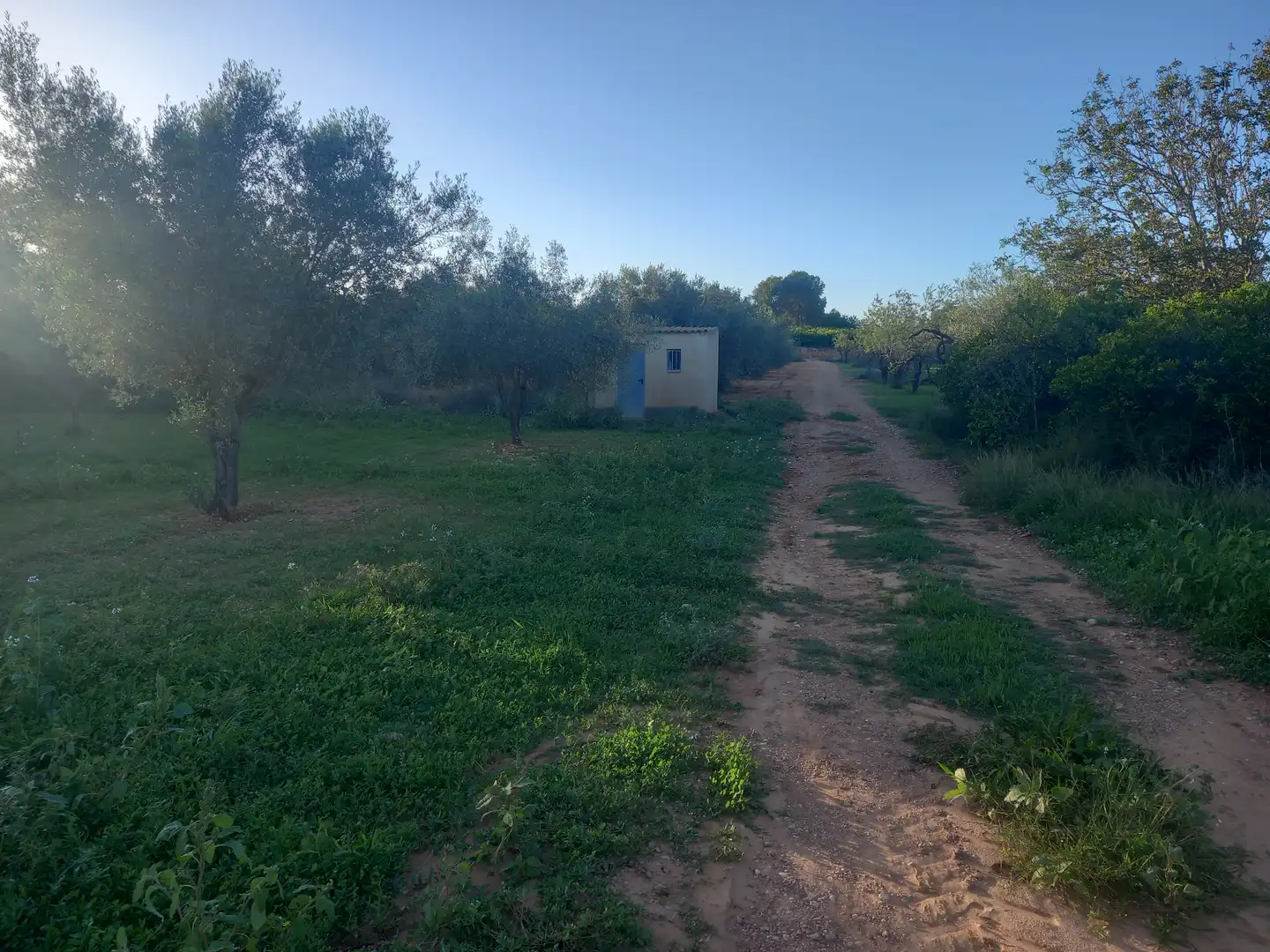 Terreny rústic en venda a Càlig, imagen 8