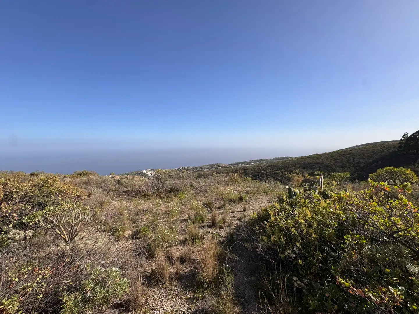 Rural land for sale in El Escobonal - Pájara, imagen 4