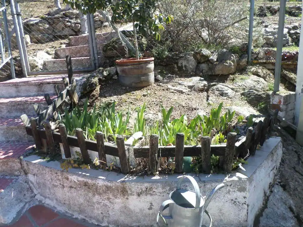Garden of Houses for sale in Robledo de Chavela  with Private garden, Terrace and Oven