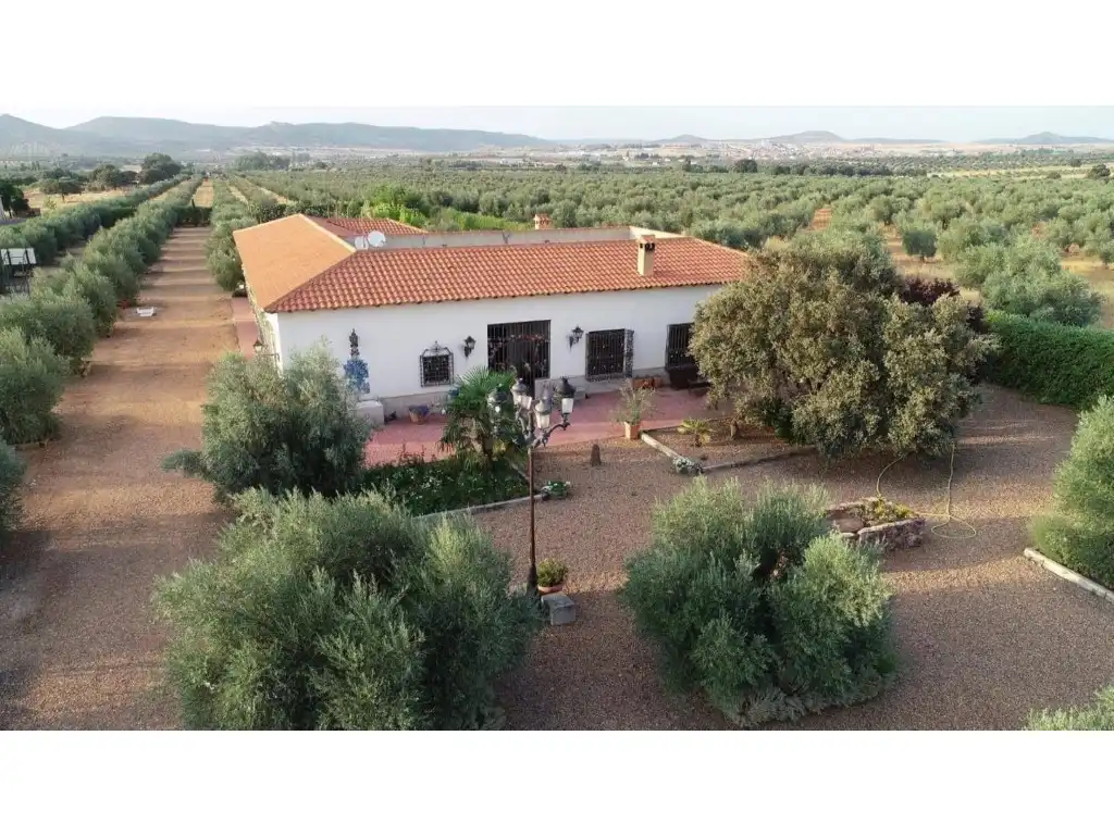 Detached house with pool for sale in Piedrabuena, imagen 5