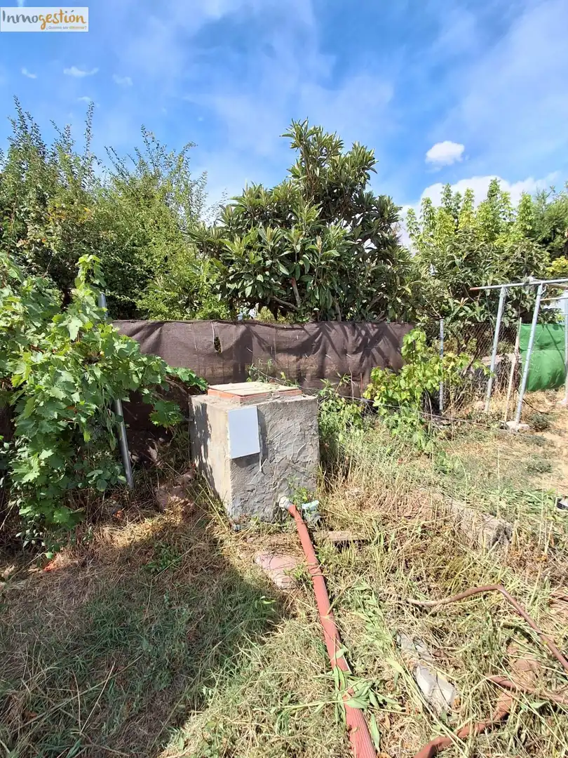 Terreno rustico in vendita a Tudela de Duero, imagen 24