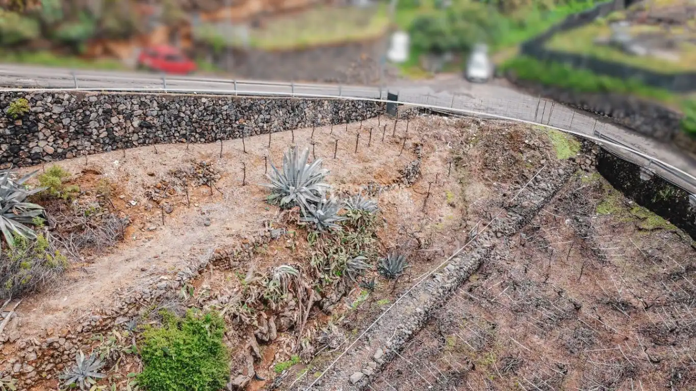 Terreno rústico en venta en La Vera - El Farrobillo - Tosca de Ana María, imagen 24