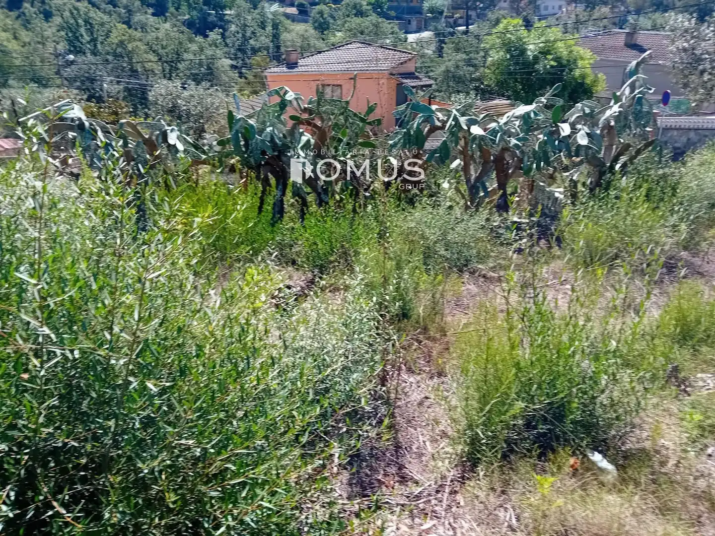 Terreno rustico in vendita a Dels Eucaliptus, imagen 10