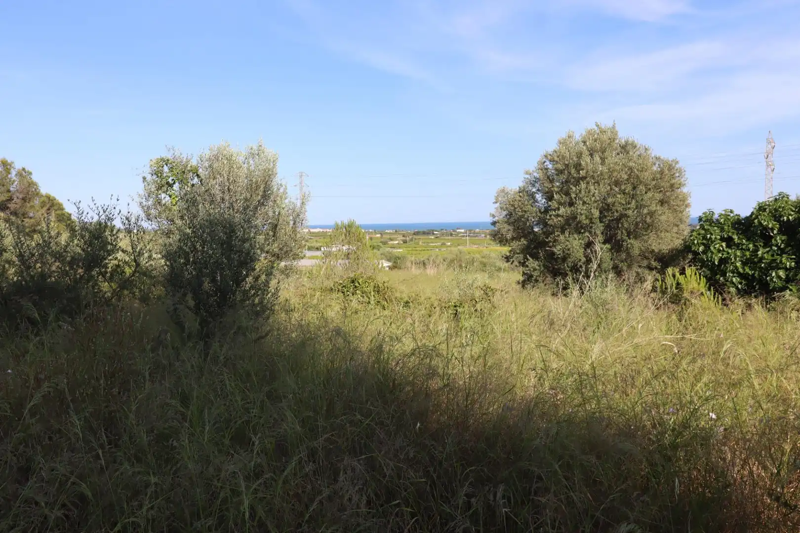 Terreno rústico en venta en Alcanar, imagen 17