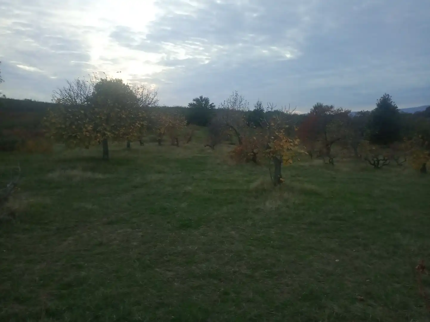 Terreni e lotti in vendita a Jarandilla de la Vera, imagen 6