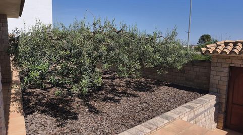 Foto 5 de Casa o chalet en venta en Don Antonio Molina Mel, Favara, Valencia