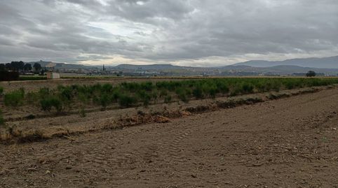 PARCELA EN EL SOTO, imagen 2