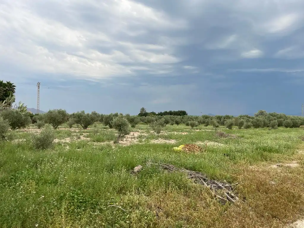 Terreno rustico in vendita a Dolores, imagen 24