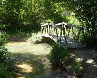 Jardí de Finca rústica en venda en Torrellas
