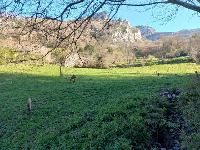 Casa-chalet en Venta en Miera