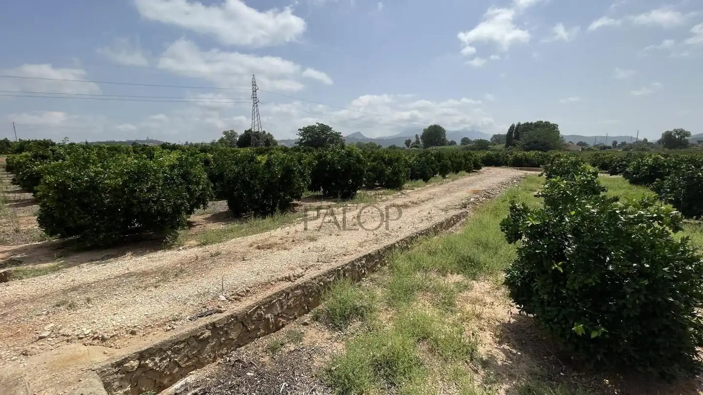 Finca rústica en venda en Alzira